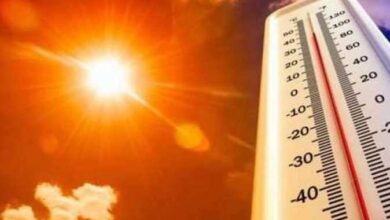 وزارة الصحة تحذر من ارتفاع درجات الحرارة خلال الأيام المقبلة ومن المتوقع أن تتوقف موجات الحر في منتصف الأسبوع المقبل فقط أصدرت