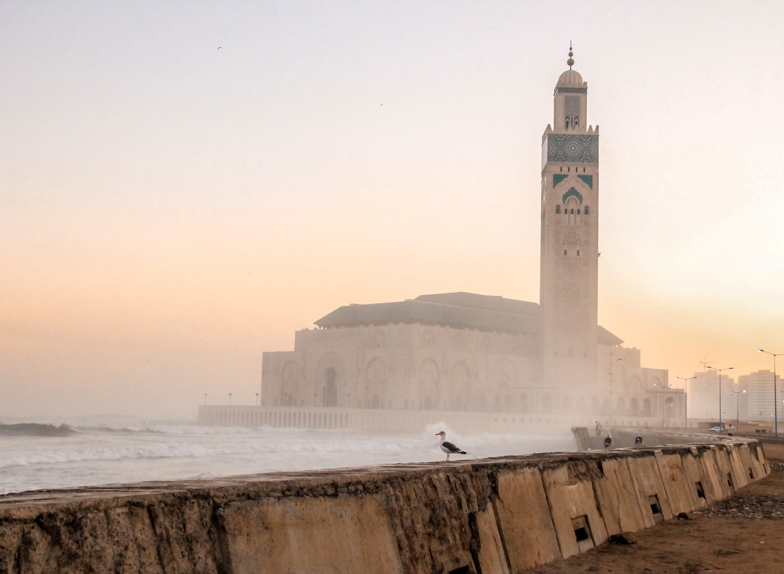 دليل الزوار إلى الدار البيضاء