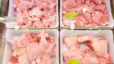 رفع اسعار لحوم الدجاج بنسبة تتراوح بين 10% الى 45%